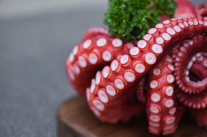 tentaculos-pulpo-hervido-comida-pulpo-ensalada-cocida-mariscos-calamar-sepia_73523-5311