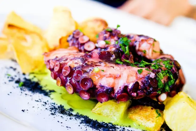 ¿Dónde comer pulpo en Lugo? Restaurante Pulpería Aurora Foto: Pexels