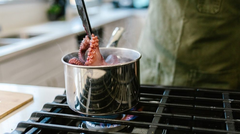 Cómo calentar el pulpo cocido: alternativas y trucos. Foto: pexels.