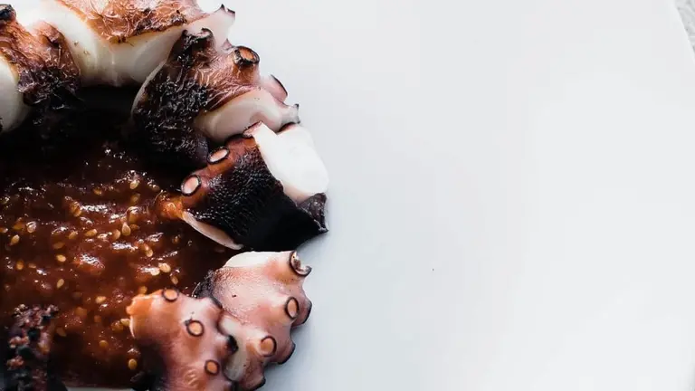 Alternativas pulpo &aacute; feira Foto Pexels