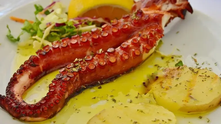 D&oacute;nde comer pulpo en A Coru&ntilde;a: Pulper&iacute;as Aurora. Foto: pixabay.
