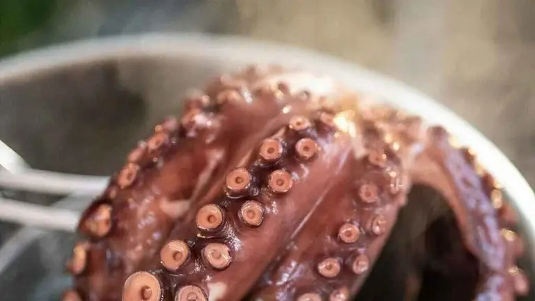 &iquest;El pulpo puede tener anisakis?: c&oacute;mo cocinarlo sin riesgo.
