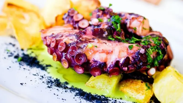 &iquest;C&oacute;mo diferenciar el pulpo gallego del pulpo importado? Foto: pexels.