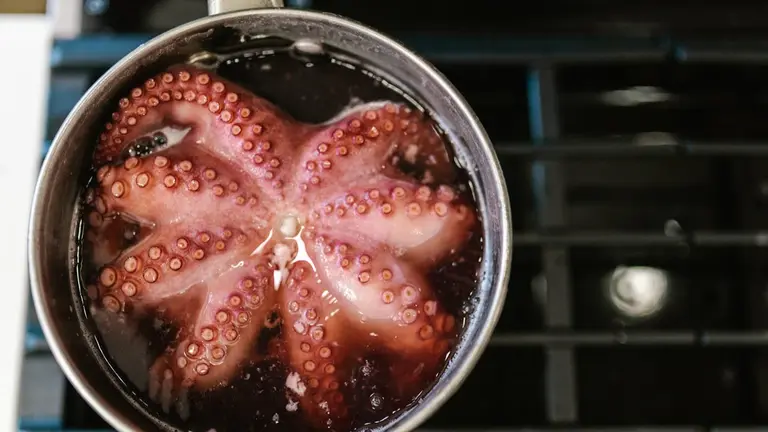 Diferencia entre pulpo y pot&oacute;n.