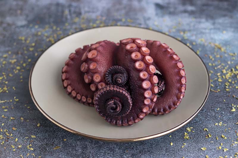 Cómo hacer empanada de pulpo: receta paso a paso