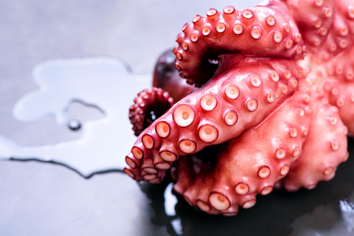 Receta Marmitako de pulpo 