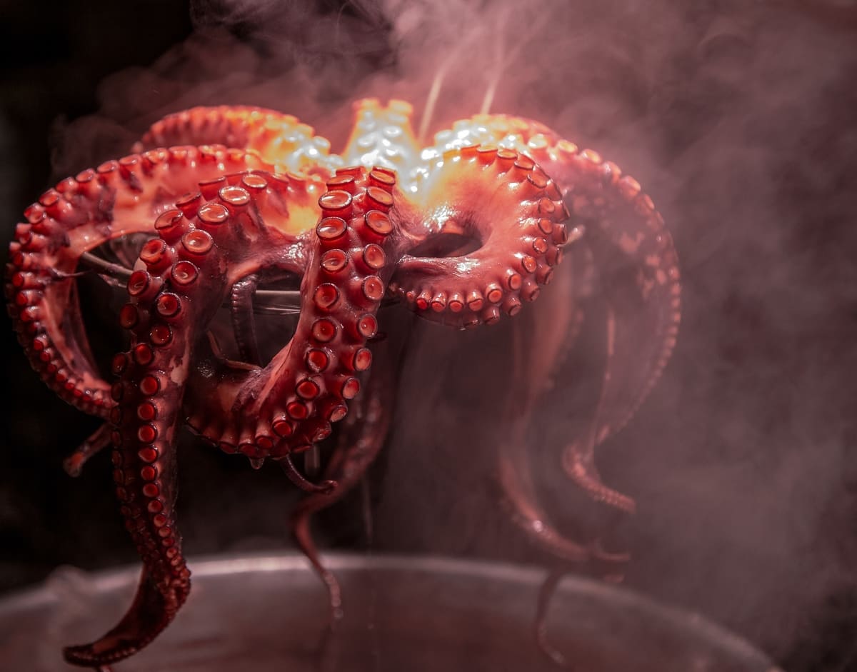 como preparar pulpo