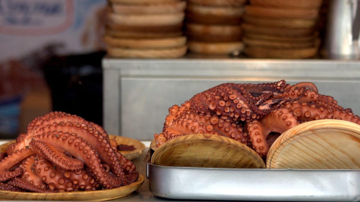 Qué significa asustar al pulpo.