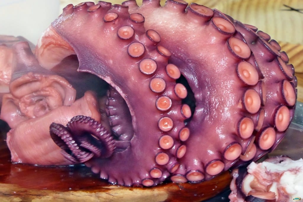 Cuáles son las diferencias entre el pulpo gallego y el marroquí.