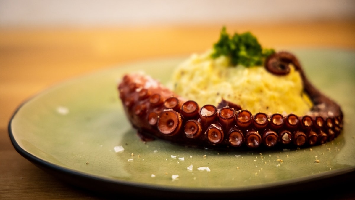 Las saludables propiedades del pulpo y su gran valor nutricional. Foto: Unsplash.